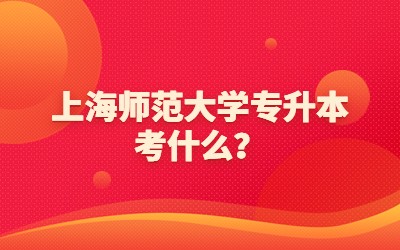 上海師范大學專升本考什么？