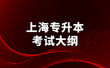 2025年上海立達(dá)學(xué)院專升本表演專業(yè)考試大綱